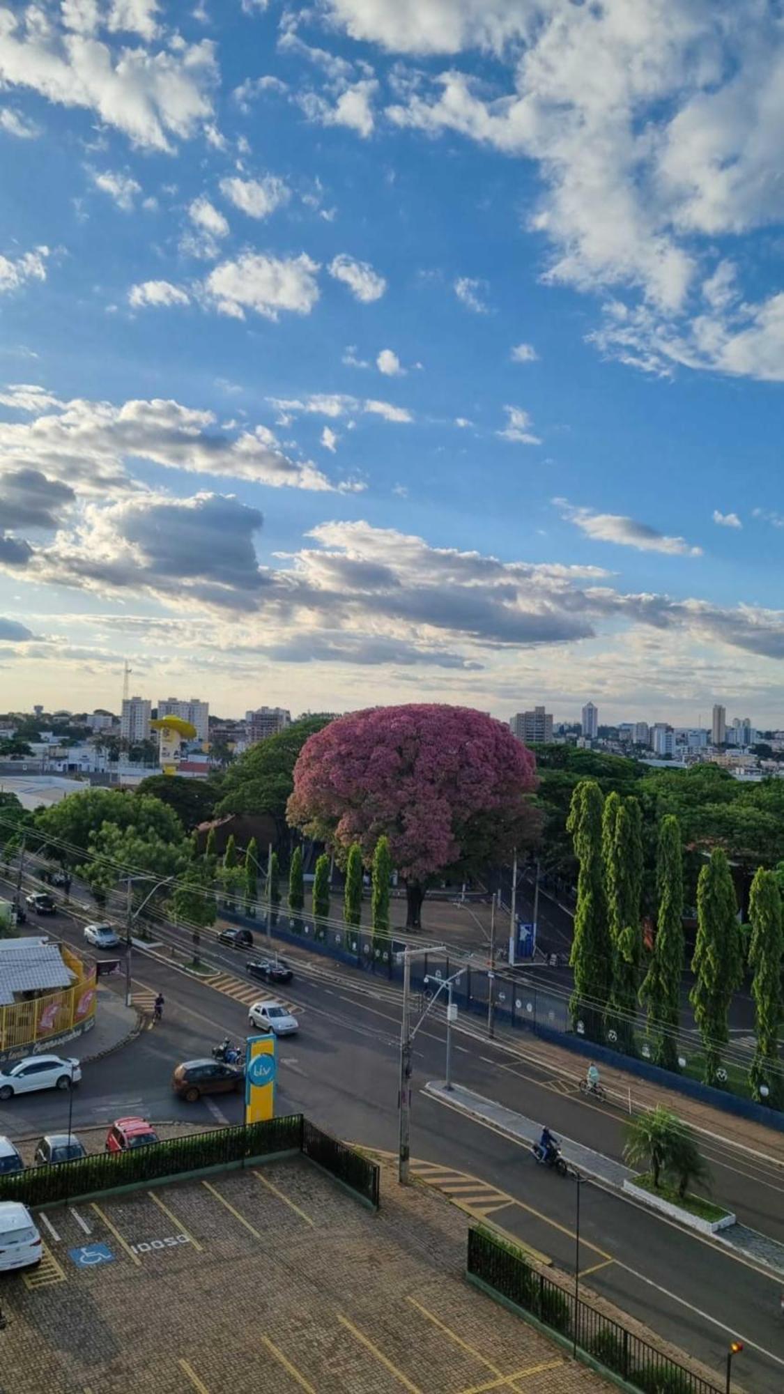 Hotel Golden Park Uberaba By Nacional Inn 客房 照片